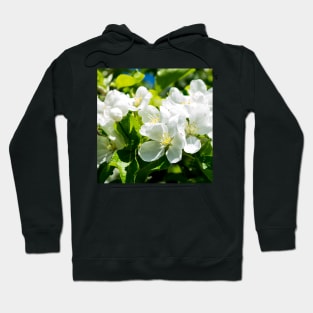 Crabapple tree blooming Hoodie